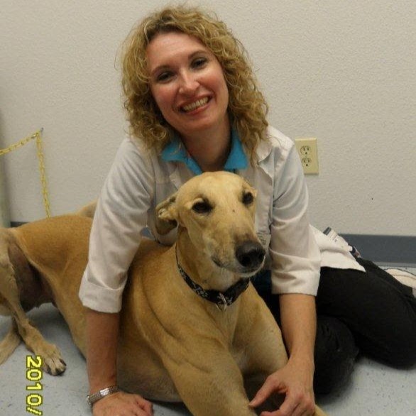 County Line Veterinary Clinic - New Braunfels , United States
