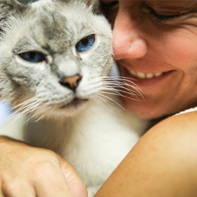 The Animal Hospital Of North Charleston - North Charleston , United States