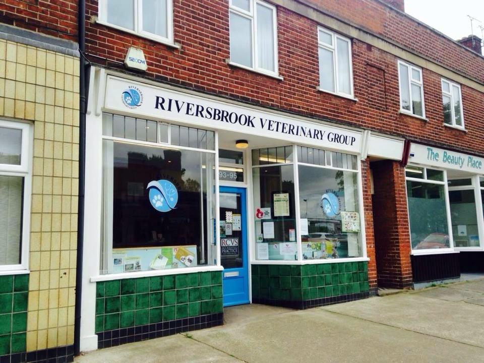 Riversbrook Veterinary Group Cliff Lane - Ipswich , United Kingdom