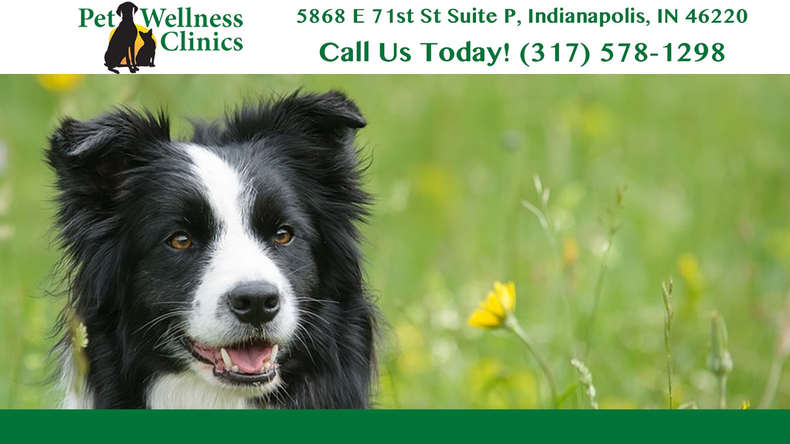 Binford Pet Wellness Clinic - Indianapolis , United States