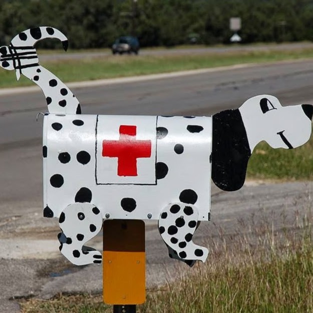 Spring Branch Veterinary Hospital - Spring Branch , United States