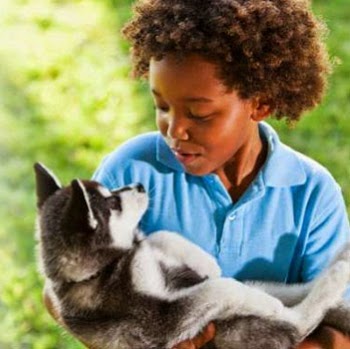 South Wilton Veterinary Group - Wilton , United States