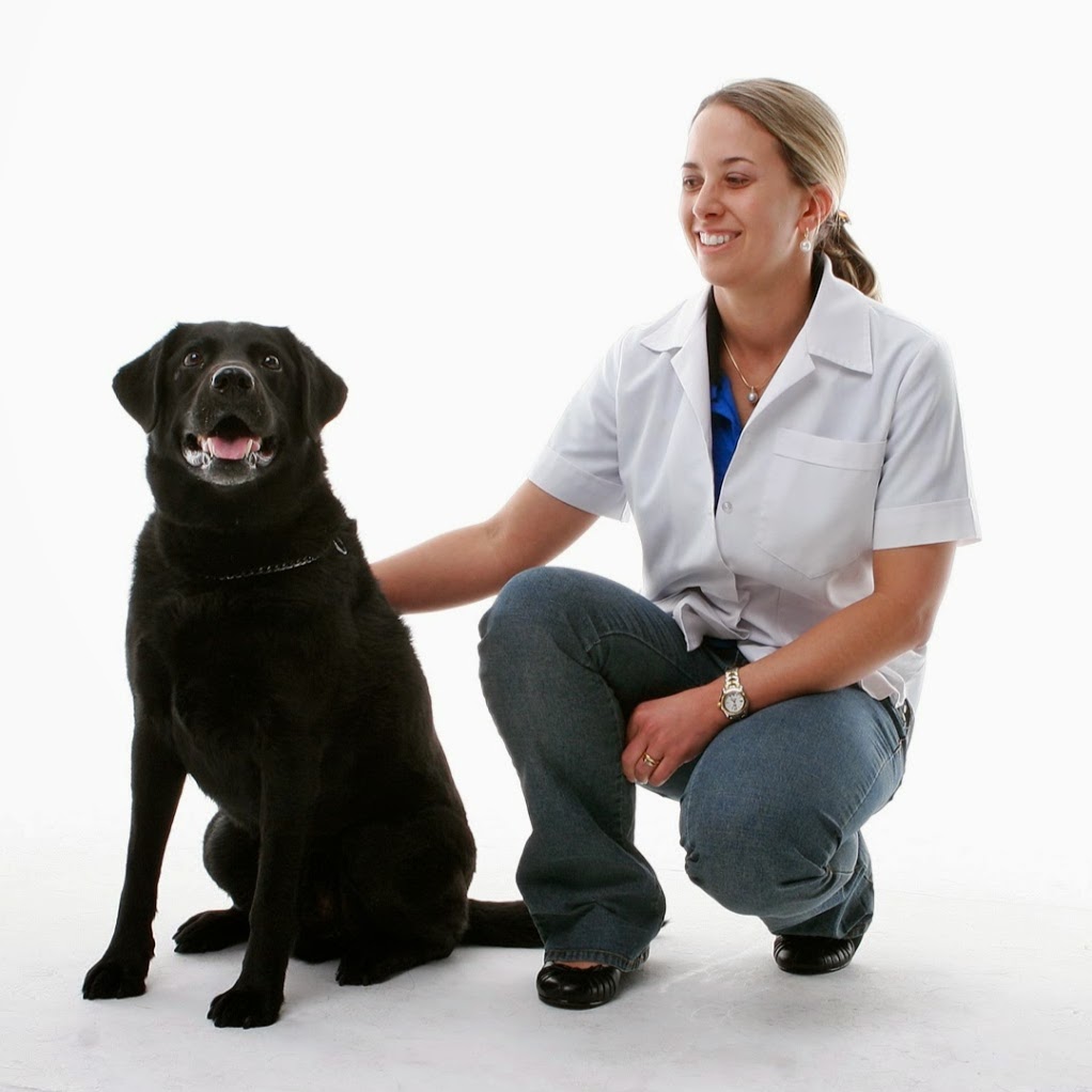 Malagavet Veterinary Hospital - Malaga , Australia