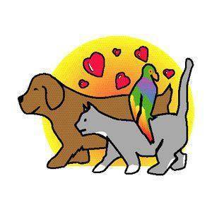 Ayer Animal Medical Center A Thrive Pet Healthcare Partner - Ayer , United States