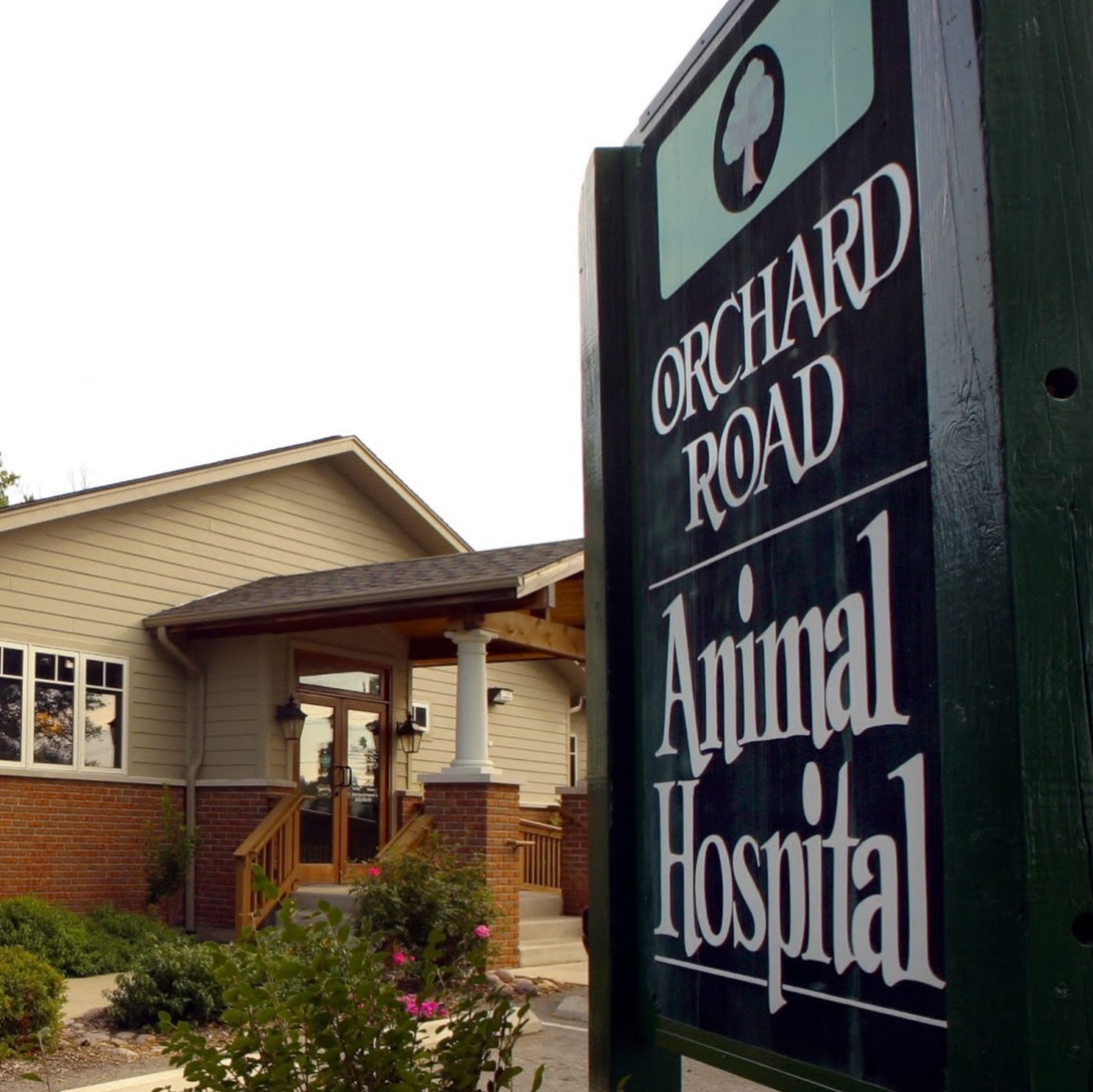 Orchard Road Animal Hospital - Montgomery , United States