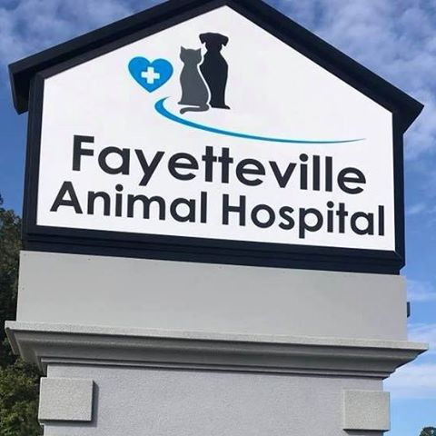 Fayetteville Animal Hospital - Fayetteville , United States