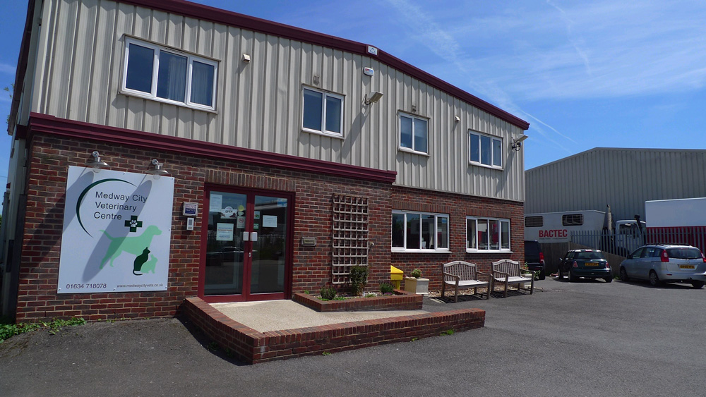 Medway City Veterinary Centre Rochester - Rochester , United Kingdom
