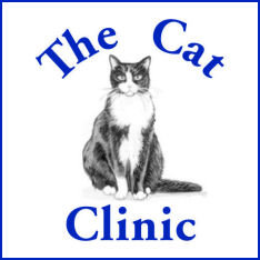The Cat Clinic - Mount Gravatt East , Australia