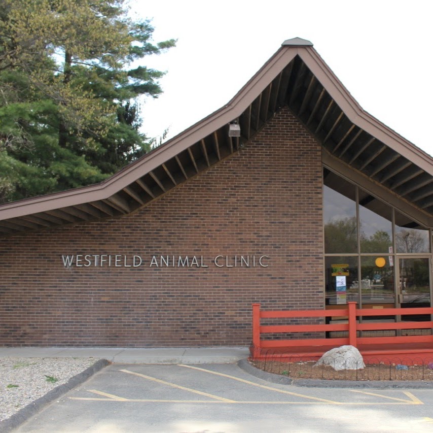 Westfield Animal Clinic - Westfield , United States