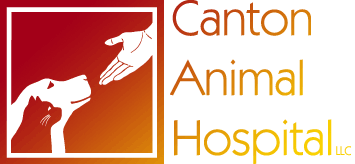 Canton Animal Hospital - Canton , United States