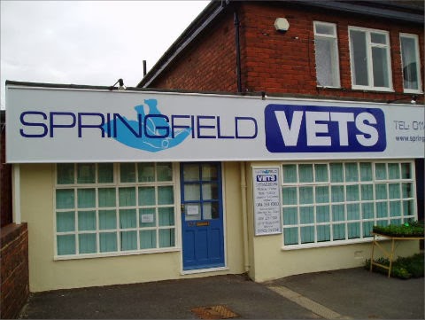 Springfield Veterinary Surgery - Sheffield , United Kingdom