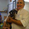 Silverhill Animal Clinic - Silverhill , United States