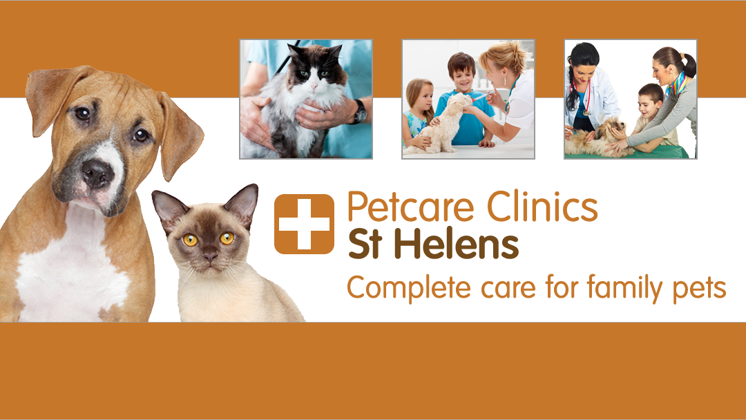 Village Vet St Helens - London , United Kingdom