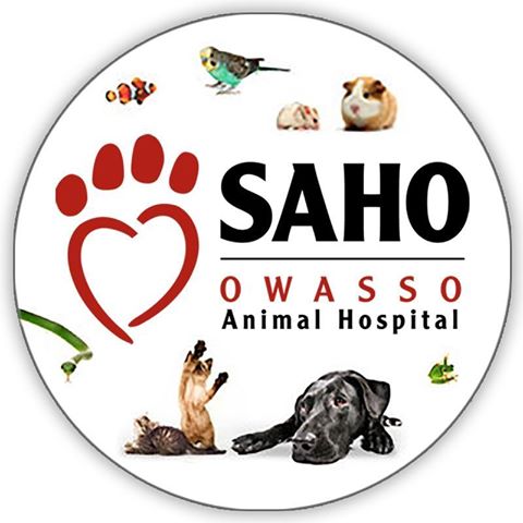 Saho Skiatook Animal Hospital - Skiatook , United States