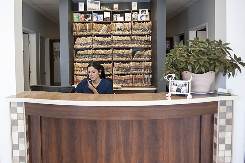 Clinique Vétérinaire St André - Acton Vale , Canada