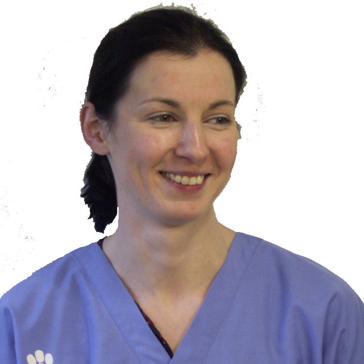 Medivet Heaton Chapel - Stockport , United Kingdom
