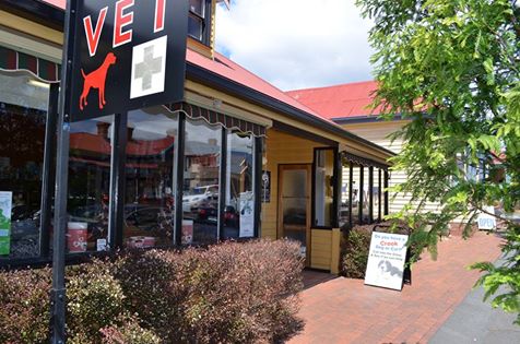 Sandy Bay Holistic Veterinary Clinic - Sandy Bay , Australia