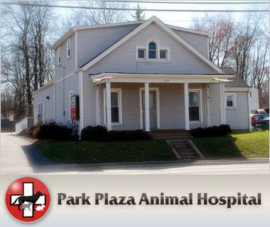 Park Plaza Animal Hospital - Cincinnati , United States