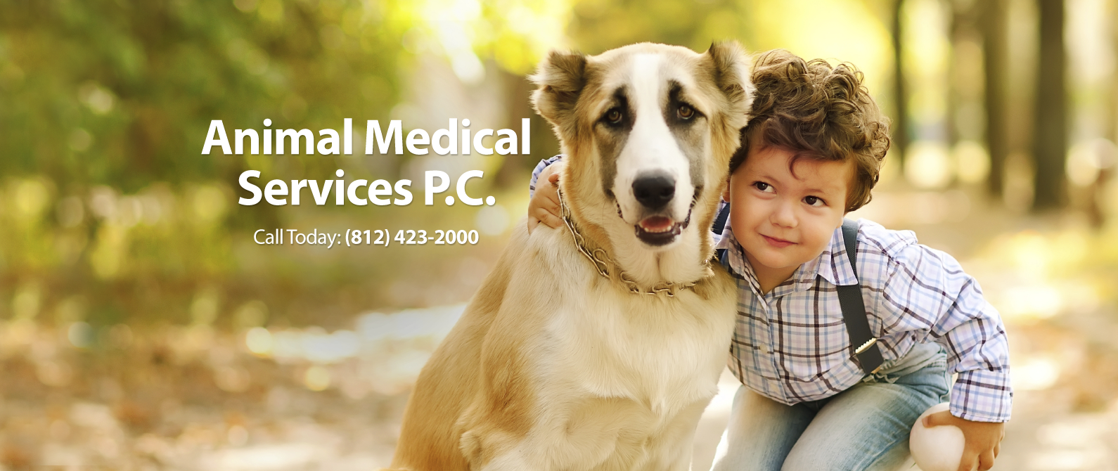 Animal Medical Services - Evansville , United States