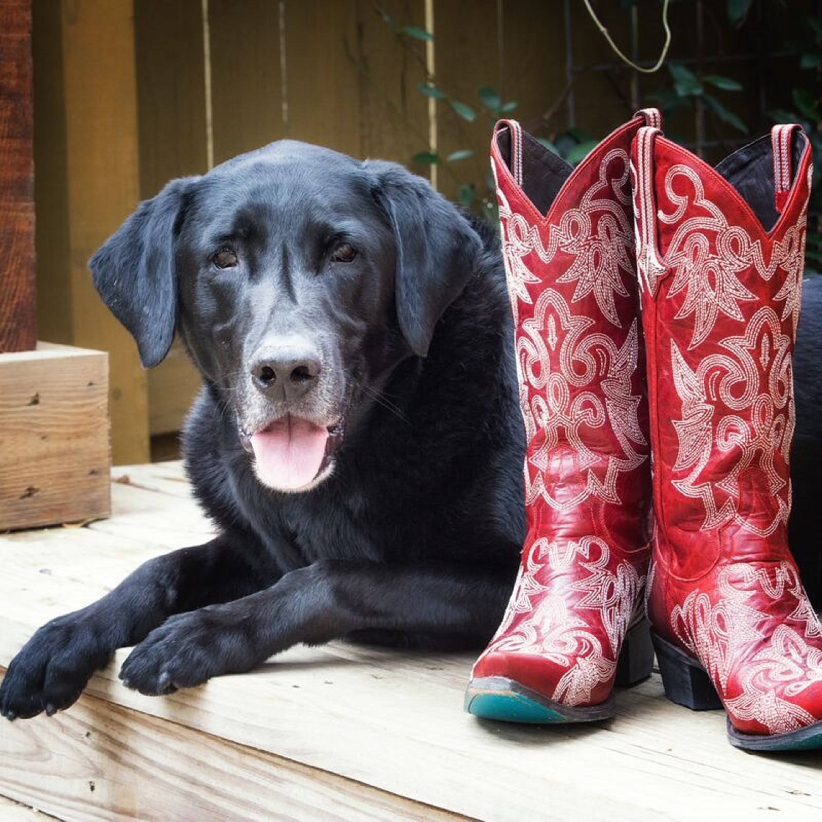 Vca Terrell Animal Hospital - Lakeway , United States