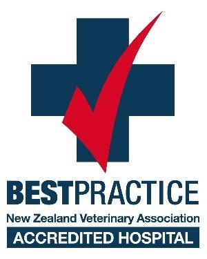 Halifax Veterinary Centre - Nelson , New Zealand