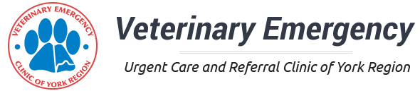 Veterinary Emergency Clinic Of York Region - Newmarket , Canada