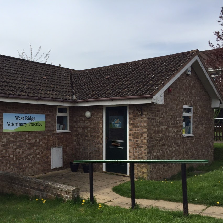 West Ridge Veterinary Practice - Tiverton , United Kingdom