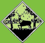 Forest Veterinary Clinic - Fordingbridge , United Kingdom