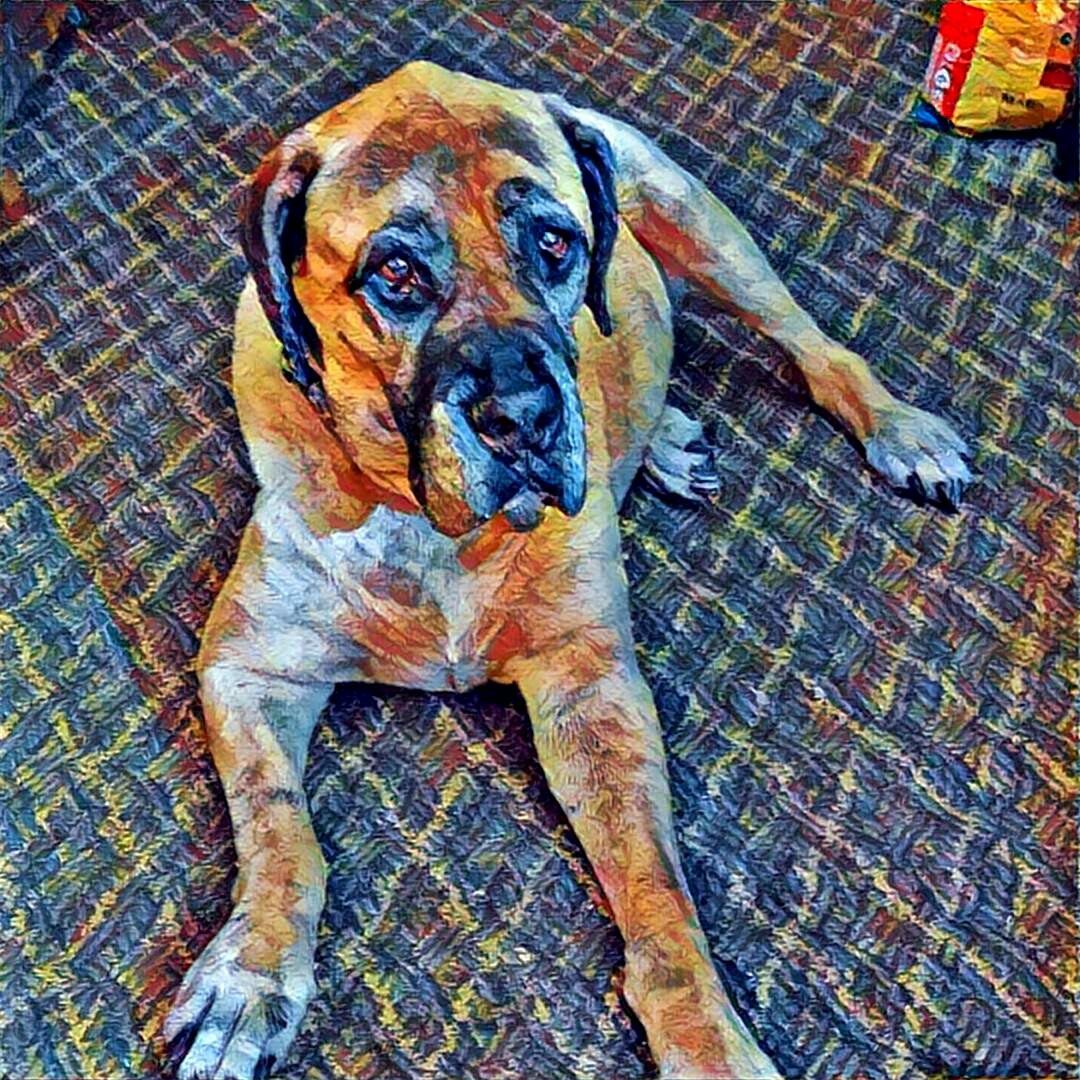 Port Isabel Animal Clinic - Port Isabel , United States