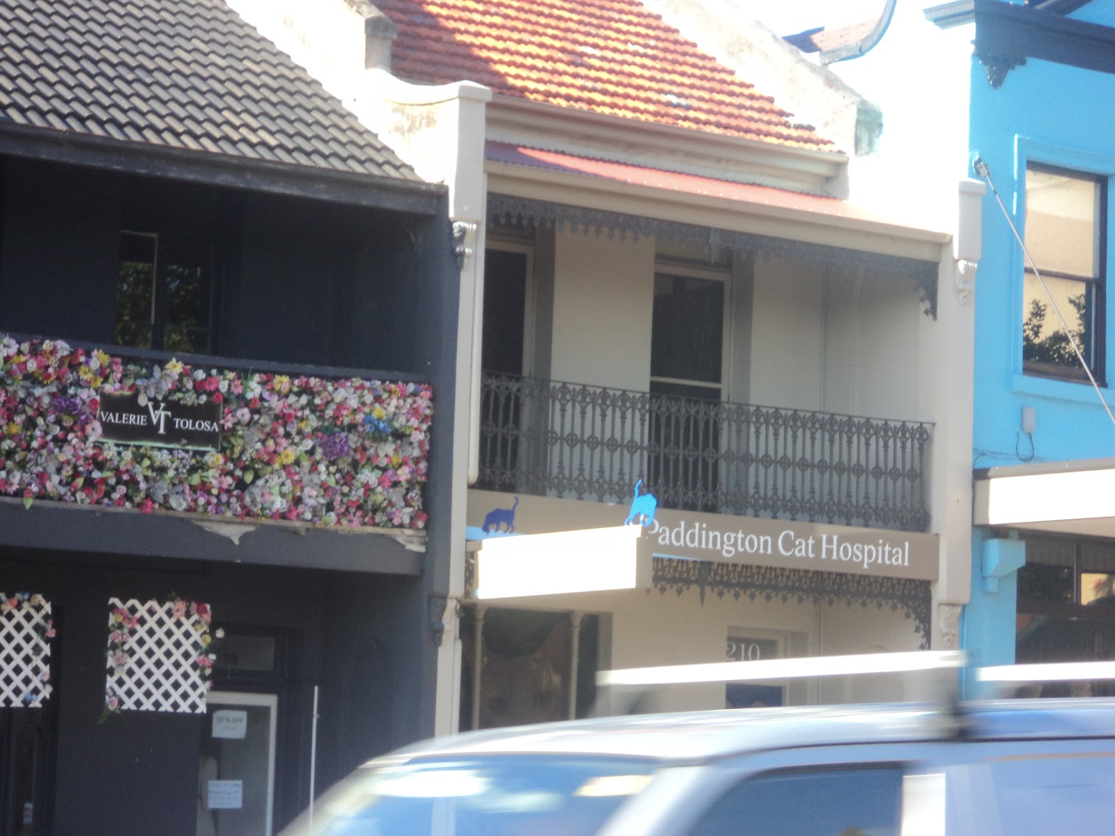 Paddington Cat Hospital - Paddington , Australia