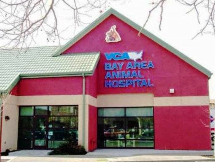 Vca Bay Area Animal Hospital - Oakland , United States