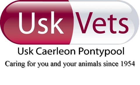 Usk Veterinary Centre - Usk , United Kingdom