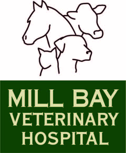 Mill Bay Veterinary Hospital - Mill Bay , Canada