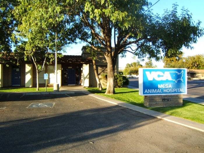 Vca Mesa Animal Hospital - Mesa , United States