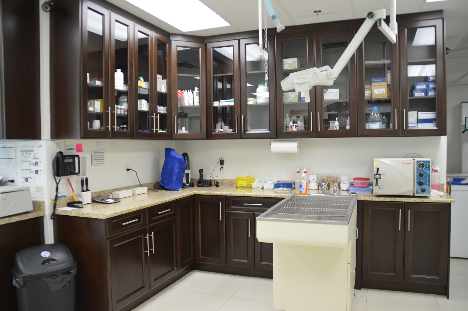 Newport Village Animal Hospital - Port Moody , Canada