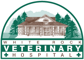 White Rock Veterinary Hospital - Surrey , Canada