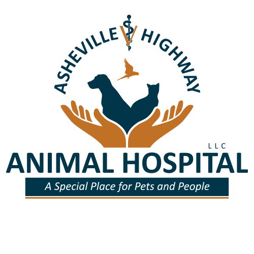Asheville Highway Animal Hospital - Knoxville , United States
