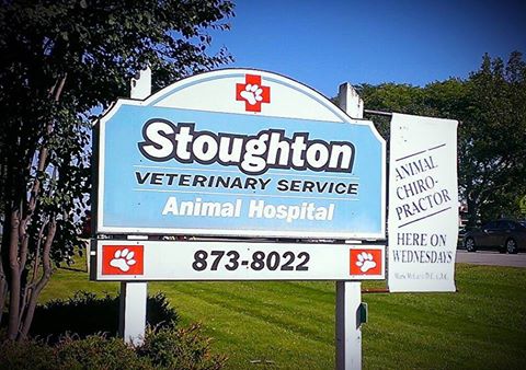 Stoughton Veterinary Service - Stoughton , United States