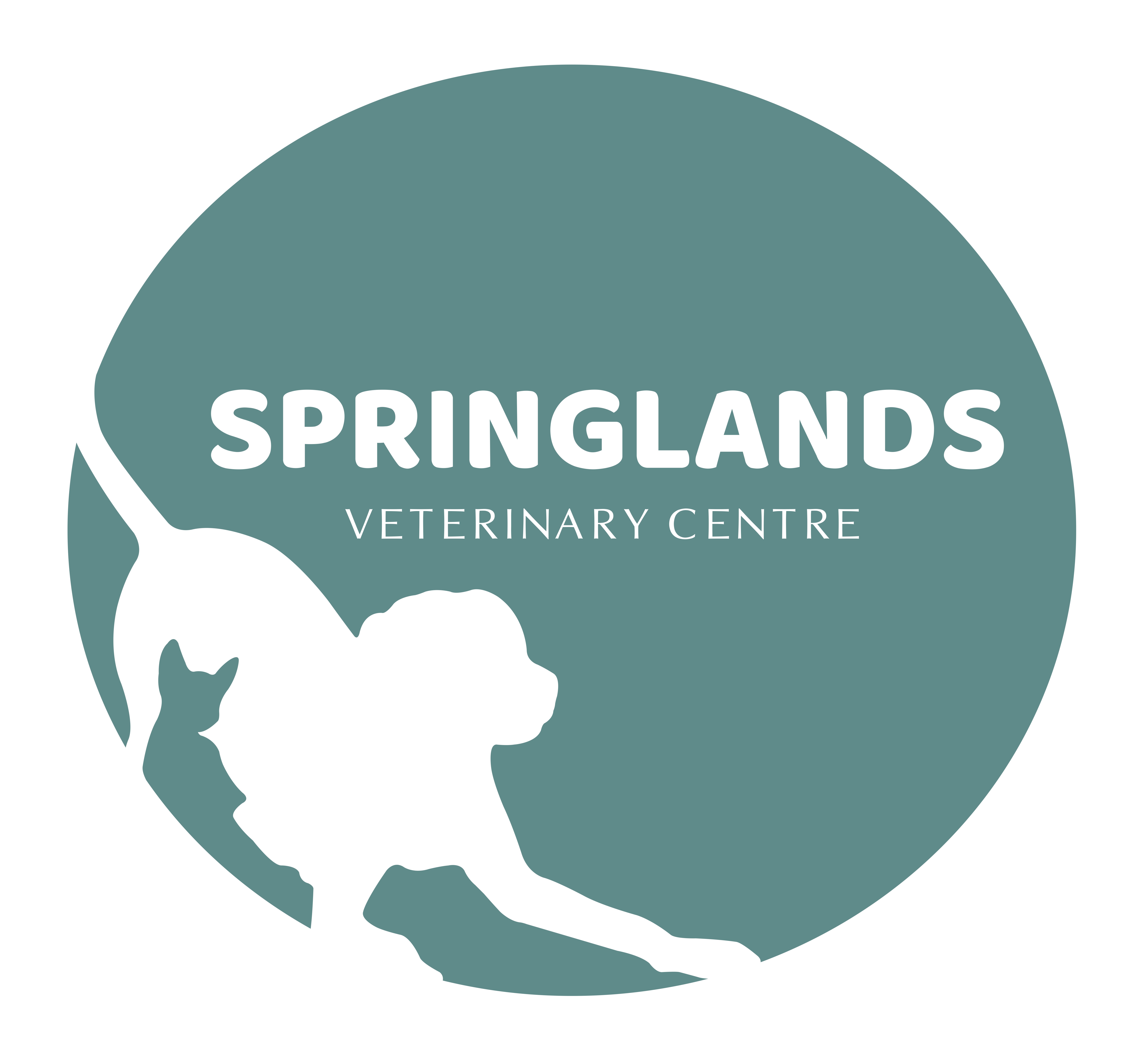 Springlands Veterinary Centre - Blenheim , New Zealand
