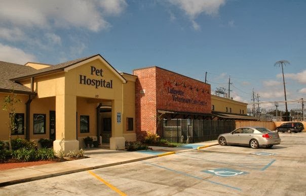 Lafayette Veterinary Care Center - Lafayette , United States
