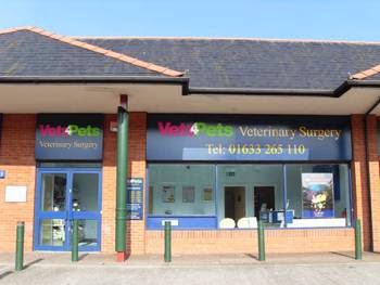 Vets4Pets Newport - Newport , United Kingdom