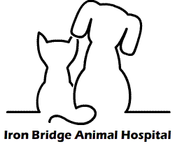 Iron Bridge Animal Hospital - Richmond , United States