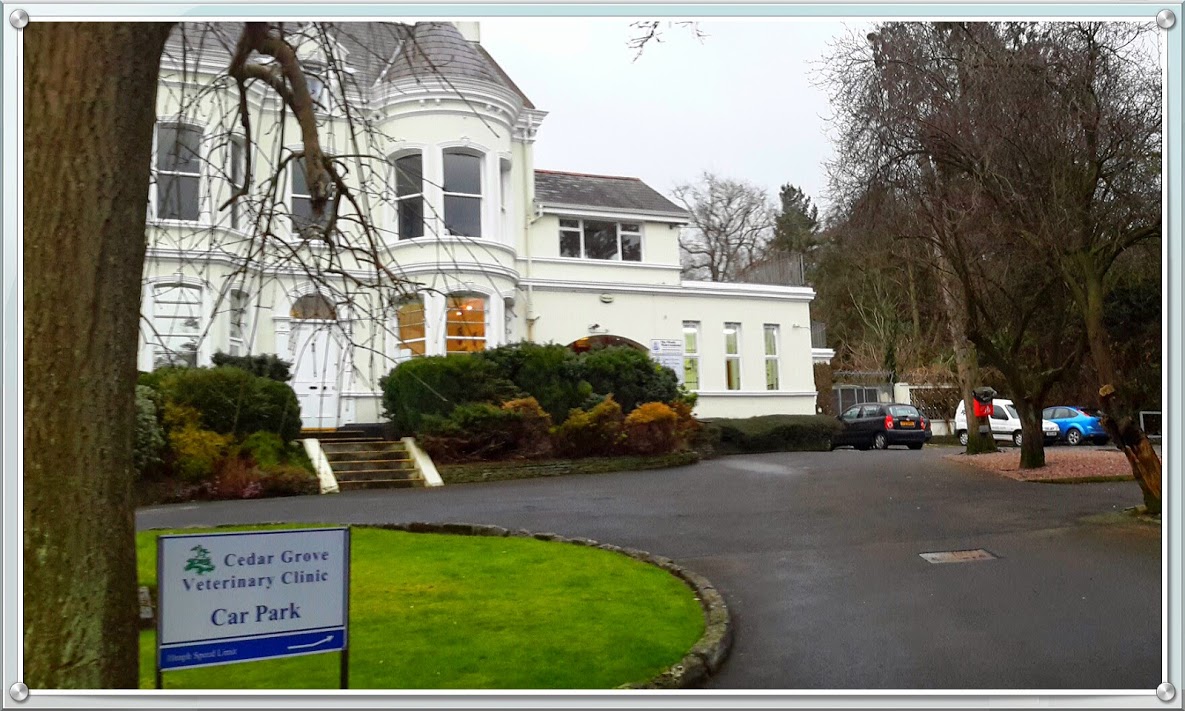Cedar Grove And Ormeau Veterinary Clinic - Belfast , United Kingdom