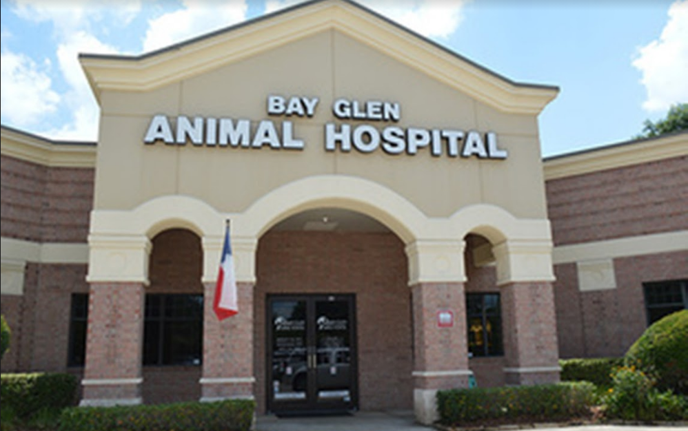 Bay Glen Animal Hospital - Houston , United States