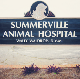 Summerville Animal Hospital - Phenix City , United States