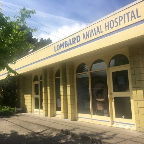 Lombard Animal Hospital - Portland , United States