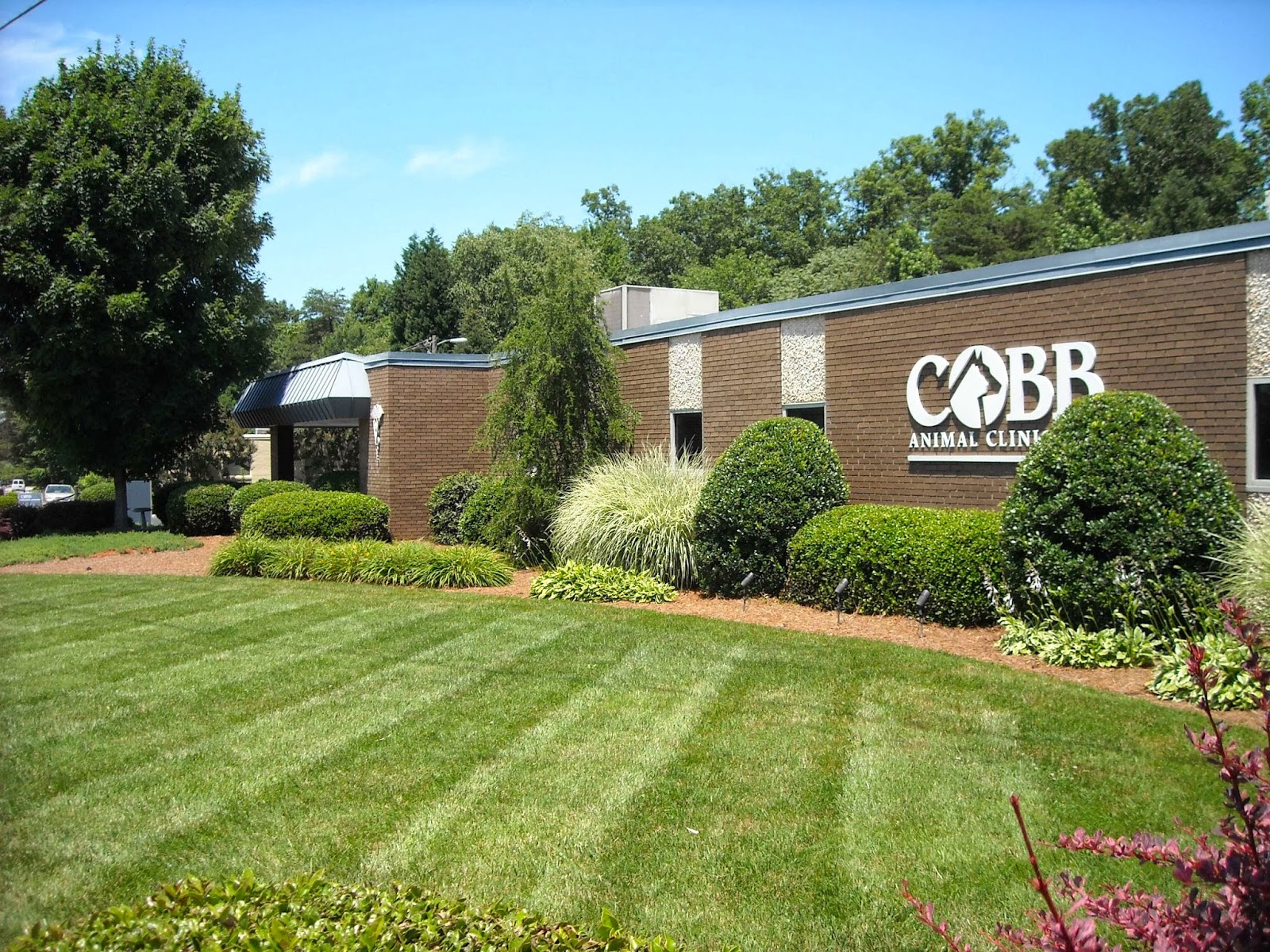 Cobb Animal Clinic - Greensboro , United States