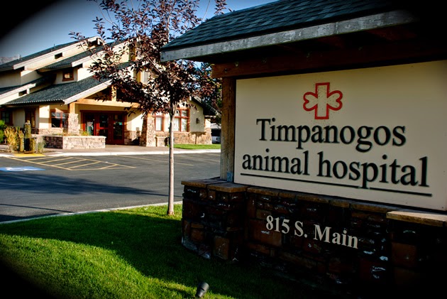 Vca Timpanogos Animal Hospital - Pleasant Grove , United States