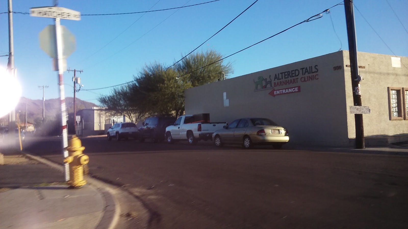 Altered Tails Barnhart Clinic Phoenix - Phoenix , United States