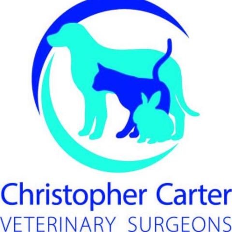 Christopher Carter Veterinary Surgery - Southampton , United Kingdom